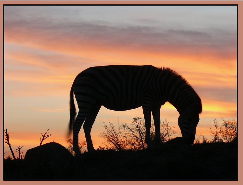 Amanzimlotzi Riverside Bush Camp Hoedspruit Exterior foto