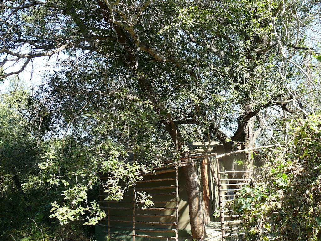Amanzimlotzi Riverside Bush Camp Hoedspruit Zimmer foto