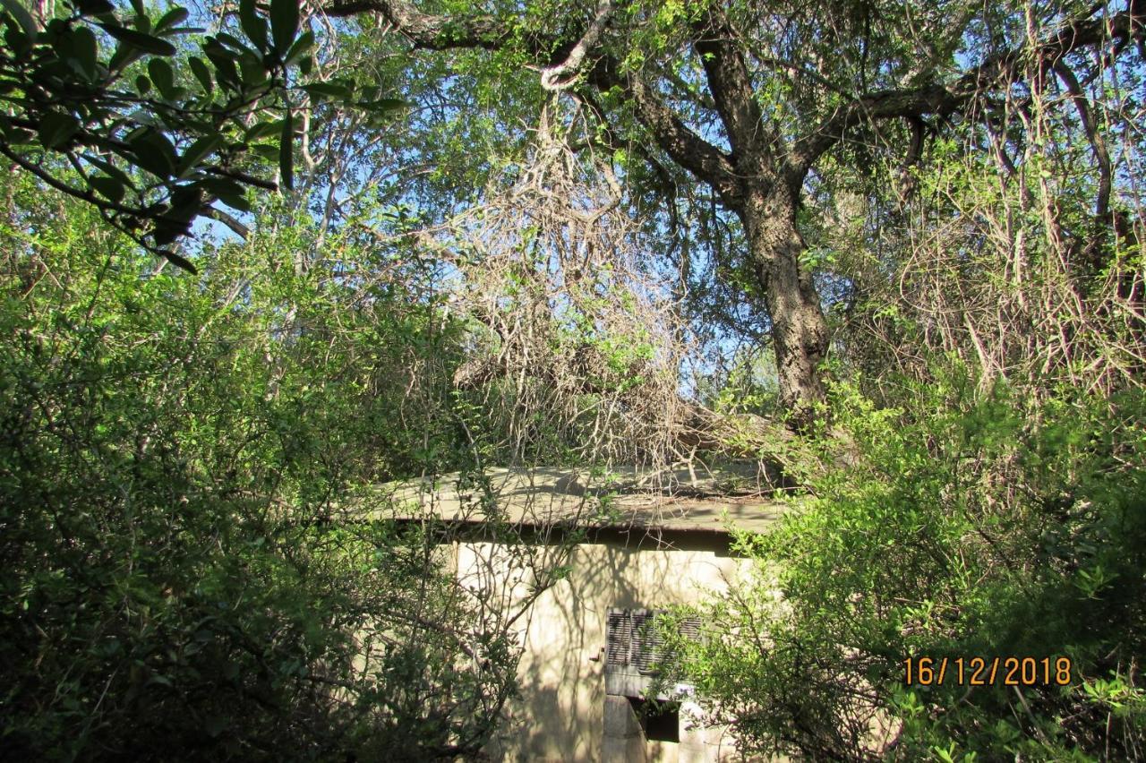 Amanzimlotzi Riverside Bush Camp Hoedspruit Exterior foto